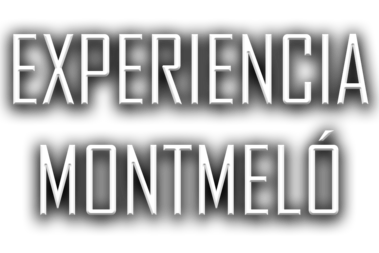 EXPERIENCIA MONTMELO.png